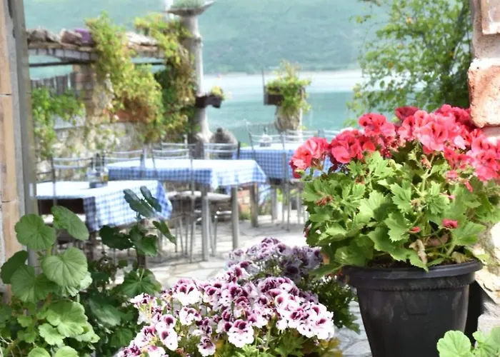 Rosa B&B